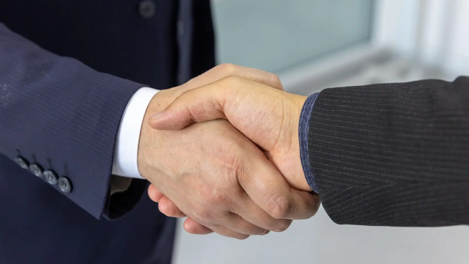 A professional handshake between two business partners